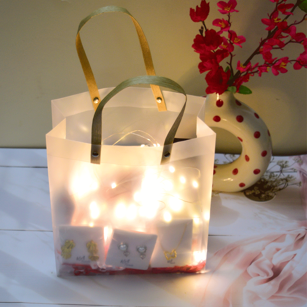 Luxury Gift Bag 2