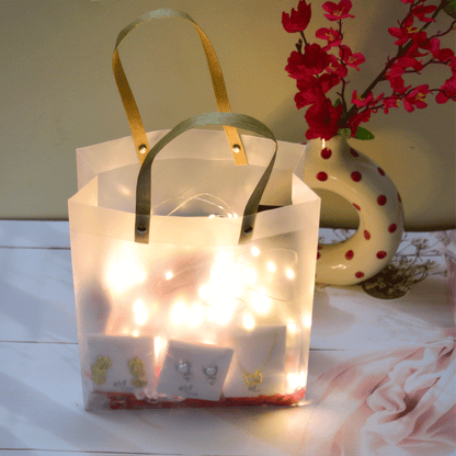 Luxury Gift Bag 2